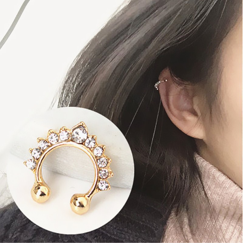 حلقات الأنف المزيفة على شكل حر - مراجعة Body Jewelry And Earrings وسعره