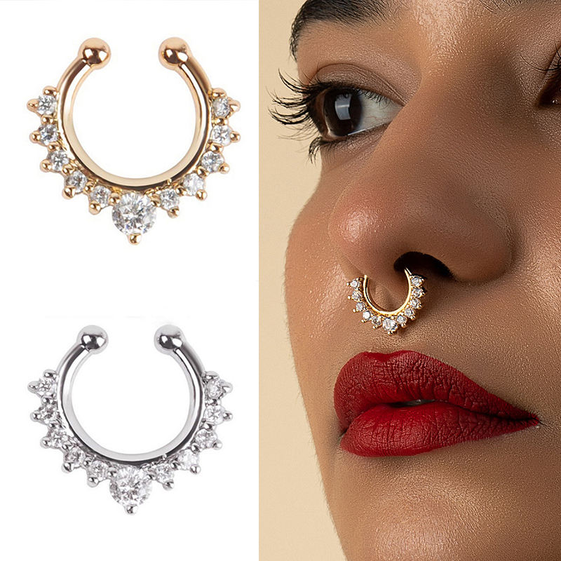 حلقات الأنف المزيفة على شكل حر - مراجعة Body Jewelry And Earrings وسعره
