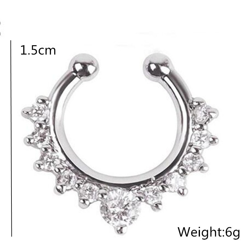 حلقات الأنف المزيفة على شكل حر - مراجعة Body Jewelry And Earrings وسعره