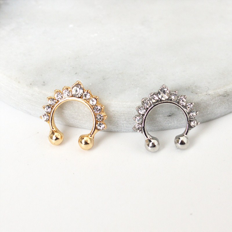 حلقات الأنف المزيفة على شكل حر - مراجعة Body Jewelry And Earrings وسعره