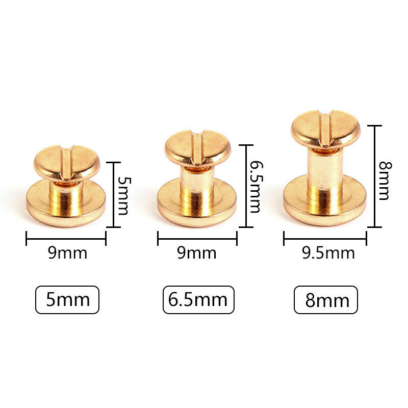 10 مجموعات/20 قطعة مسامير حزام - مراجعة Body Jewelry Chicago وسعره